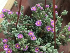 -三旗百汇商品城