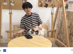 -楼上猫咖(罗湖店)