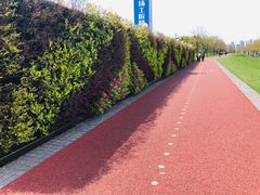 -上海山野camping·户外天幕烧烤·团建拓展营地