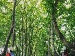 -南京航空航天大学(将军路校区)