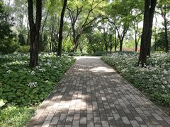 -玲珑塔公园