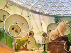 -陕西自然博物馆