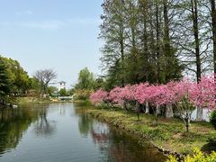 -金银湖国家城市湿地公园