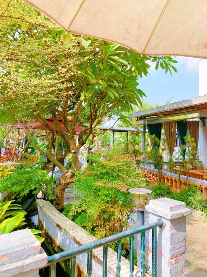 天然居(霞石沙羊路店)-"漂亮的令人放松的环境,好吃的顺德菜肴,值.