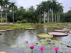 -中国科学院西双版纳热带植物园