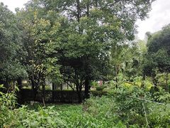 -故乡缘·香格里拉山庄(冷竹路店)