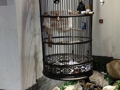 -清真京华源·涮肉烧烤(丰庆店)