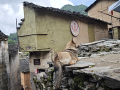 -新安江山水画廊风景区
