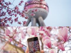 -东方明珠广播电视塔