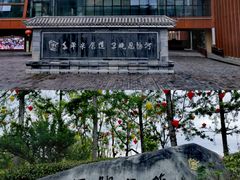 -恩阳古镇