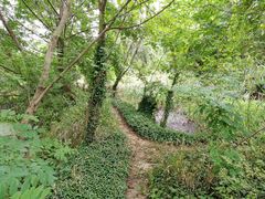 -龙湖东院农庄(乡间小路店)