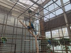 -南宫五洲植物乐园