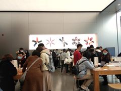 -Apple零售店(成都太古里店)