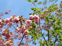 -昆山城市生态森林公园