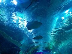 -上海海昌海洋公园-停车场