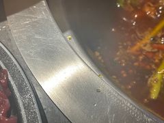 -悦见花开·花园里的火锅·露营·下午茶