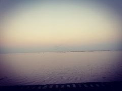-呼兰河口湿地公园