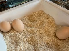 -帐篷客·溪龙茶谷度假酒店