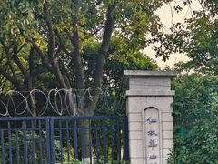 -羊山湖公园