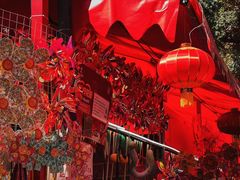 -越秀西湖花市(广州城市广场花卉店)