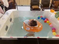 -爱贝蕊恩韩式月子会所(宝安店)