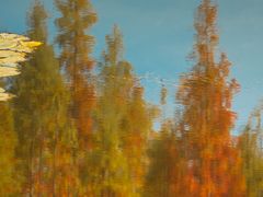 -白鹭湾湿地公园