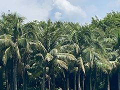 -深圳湾公园(南山区)