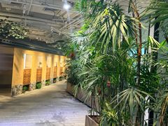 -大视光学•LINDBERG林德伯格•全球手工眼镜集合店(王府井店)
