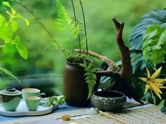 -道南書院·私房菜·早午茶·茶馆