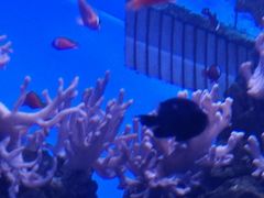 -多彩贵州城极地海洋世界