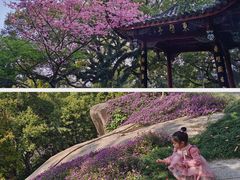 -乌山风景区