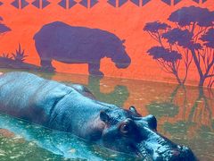 -鄂尔多斯野生动物园