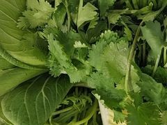 -草原传奇鲜羊火锅(桥北店)