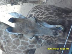 -鄂尔多斯野生动物园