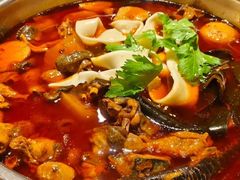 -晓彭肥肠鸡·泡椒鸡火锅(水木天地店)