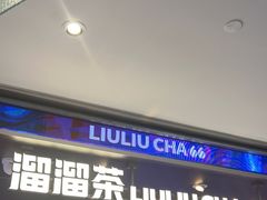 -TD66高山铁皮石斛养生茶饮