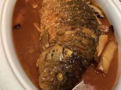 -阿五黄河大鲤鱼(英协路店)