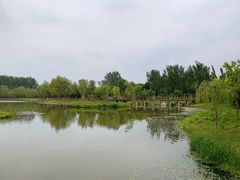 -东郊湿地公园
