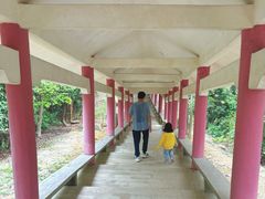 -天鹿湖森林公园