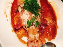 -金悦轩海鲜城(渔人码头店)