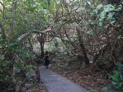-鹅銮鼻公园