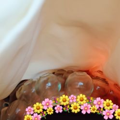 -苗塑堂减肥艾灸