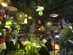 大堂-胡桃里音乐酒馆(石家庄店)