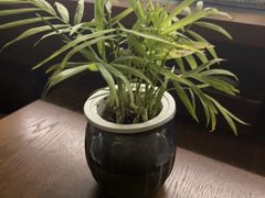 -浅深Cheersum(曹杨店)