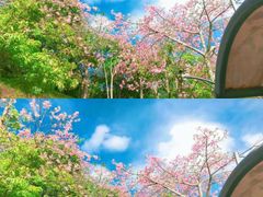 -东部华侨城