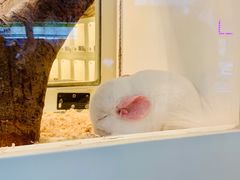 -龙猫仔乐园(惠福东路店)