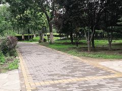-绿堤公园