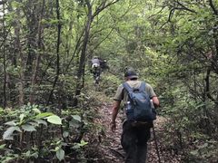 -午潮山国家森林公园