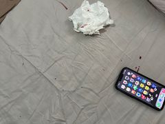 -e嘉宠物店(北大街店)