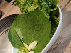 -权金城·炭火烤肉(北京联想桥店)
